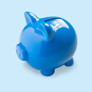 piggy bank piggy money box